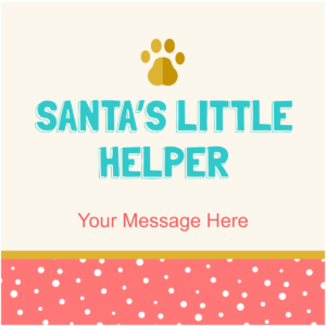 Santa's Little Helper